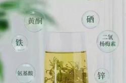 茶叶中的黄酮的功效与作用