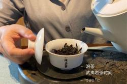 大红袍茶叶是哪里的