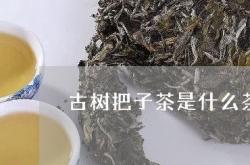 茶叶是一种保健品吗