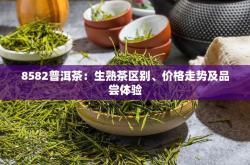 普洱茶熟茶怎么喝