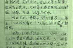 玩具作文500字六年级