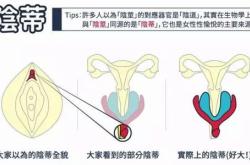 情趣玩具骗局套路视频