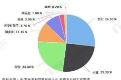 磁力玩具市场分析论文