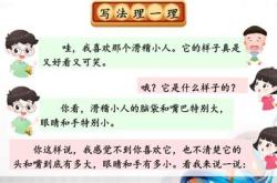 玩具我爱你教案视频