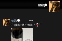 怎么和朋友喝红酒文案简短