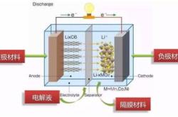 茶叶的生产过程图片