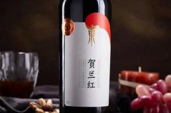 红酒redwine什么意思