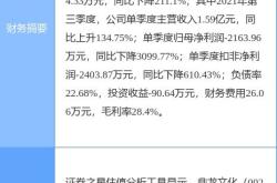 鼎龙：公司目前主要从事钛矿游戏及影视业务其中钛矿业务为公司未来发展的核心业务