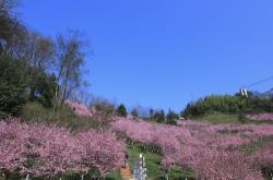 成都的欧式梦境诗意栖居的花海小镇