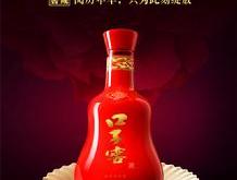 口子窖徽酒低度酒兼香型白酒20年41度