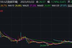 岭南股份：公司董监高在股价异常波动期间未买入公司股票