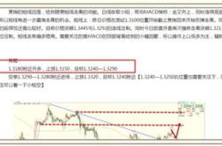 田洪良：主要货币短线操作指南美指周一上涨在之下遇阻