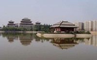 外语学研站留学英语文献阅读：从障碍到探索知识的桥梁，轻松掌握学术阅读技巧