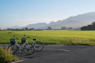 成长道路上的重磅助手