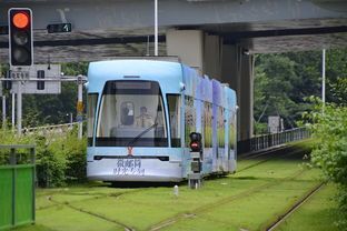 咸宁出租车——都市里的移动服务